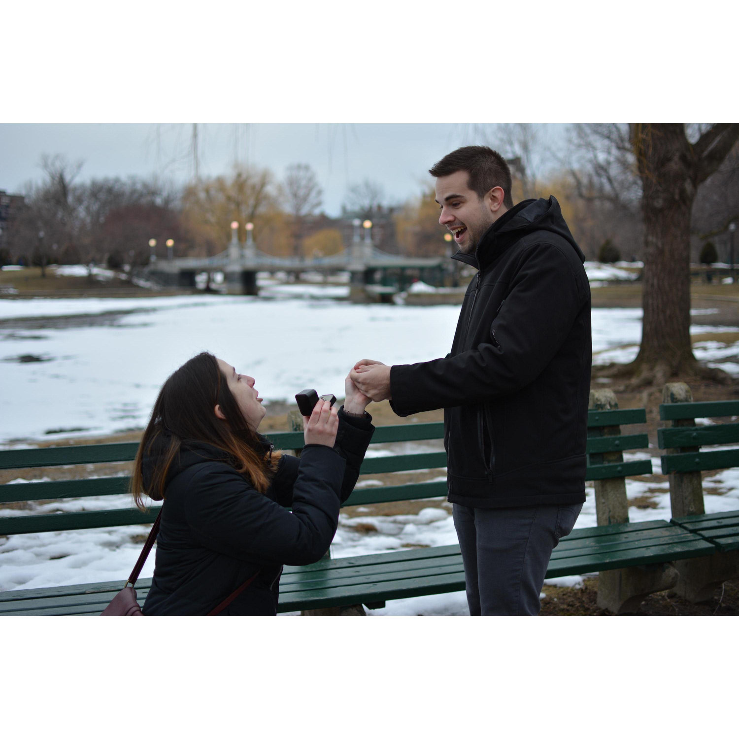 Mitchell's official proposal on March 13th, 2019