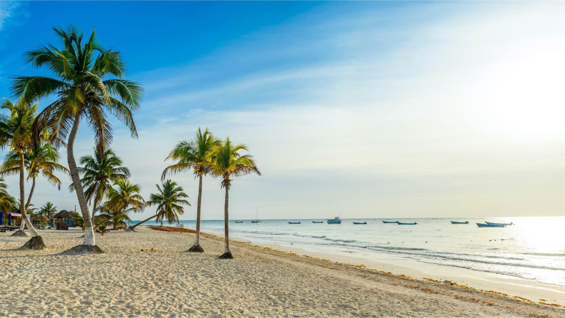 The Wedding Website of Kariss Morales and Dan Garcia