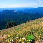 Mary's Peak