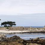 Monterey