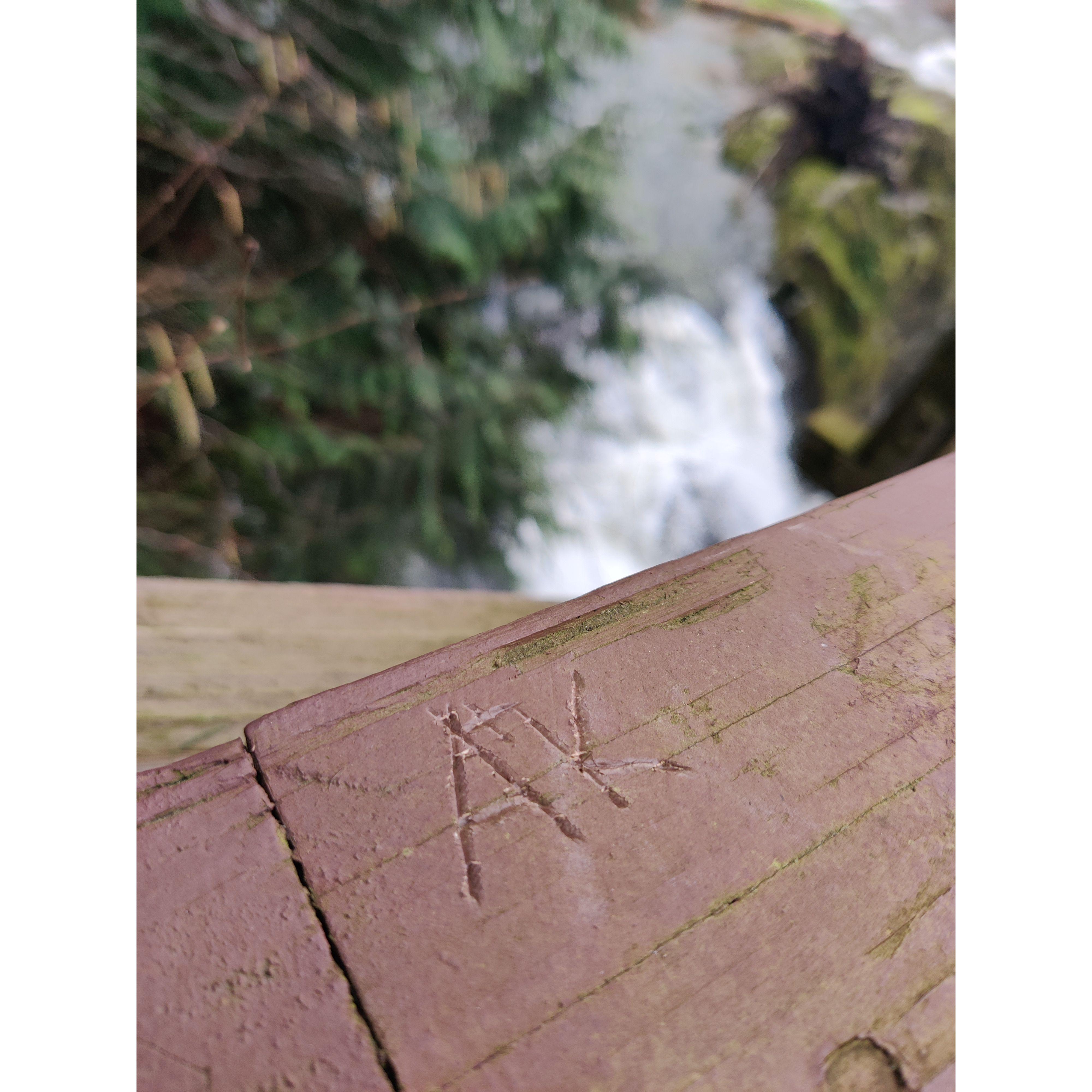 Back in Olympia visiting this same trail again, right around the time of our first anniversary. We made sure to make our mark this time; this trail will always be special to us.