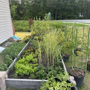 Our Land Fund