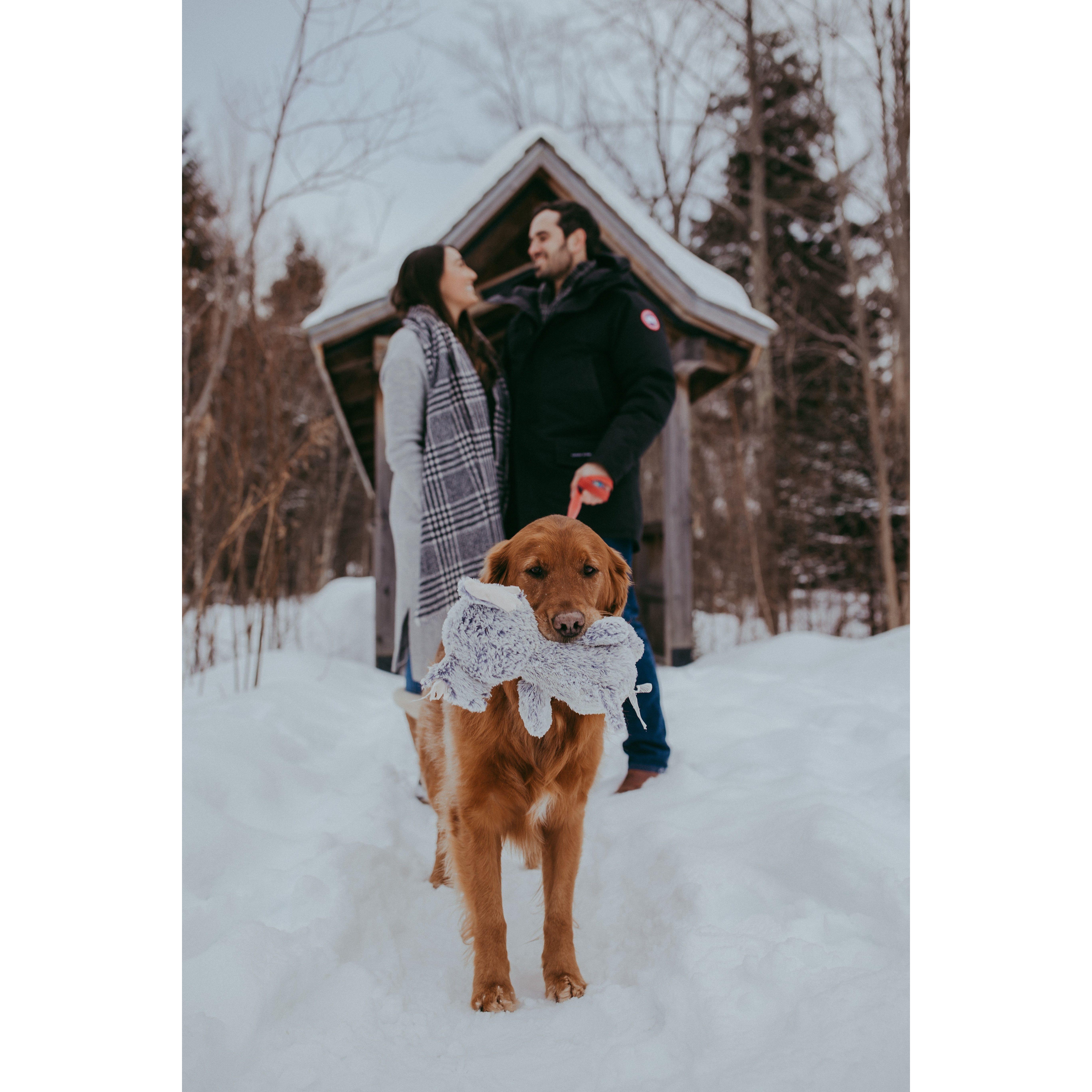 Engagement photos with brady and his stuffed elephant