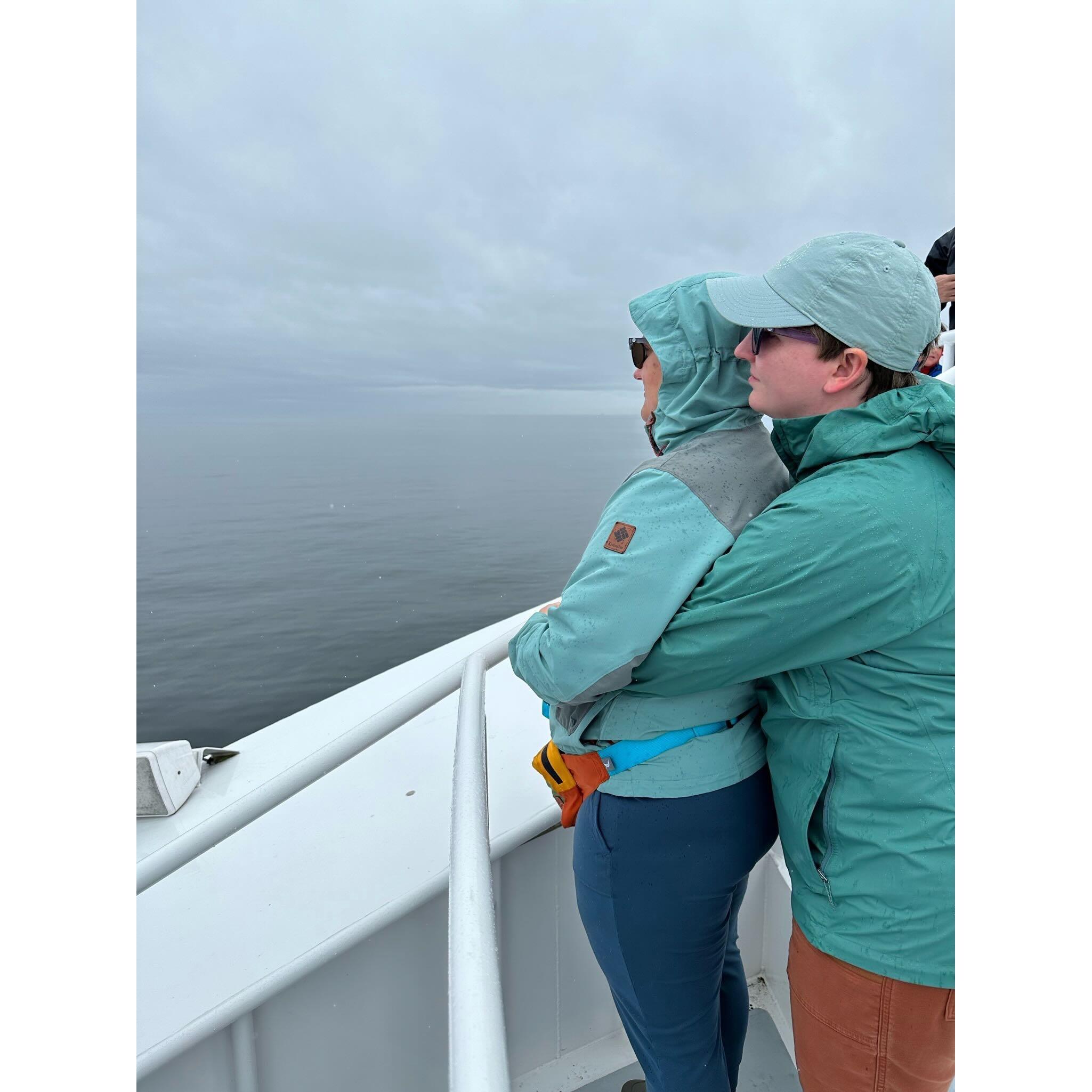 Whale watching in Port Townsend, WA