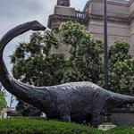 Carnegie Museum of Natural History