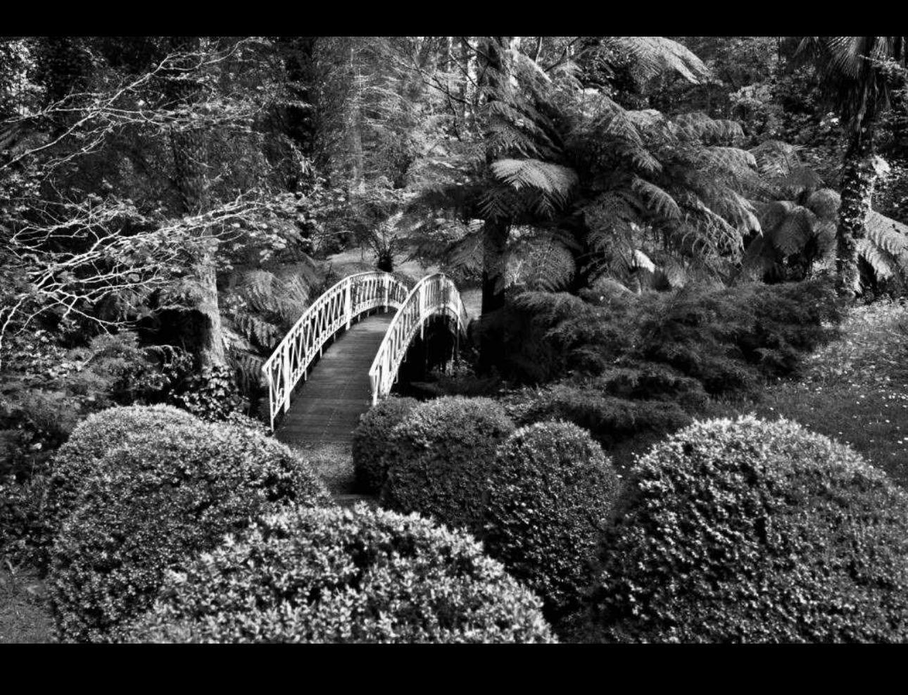 The Wedding Website of Emma Firth and Jason Walker