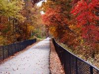 Swamp Rabbit Trail