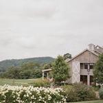 Pippin Hill Farm & Vineyards