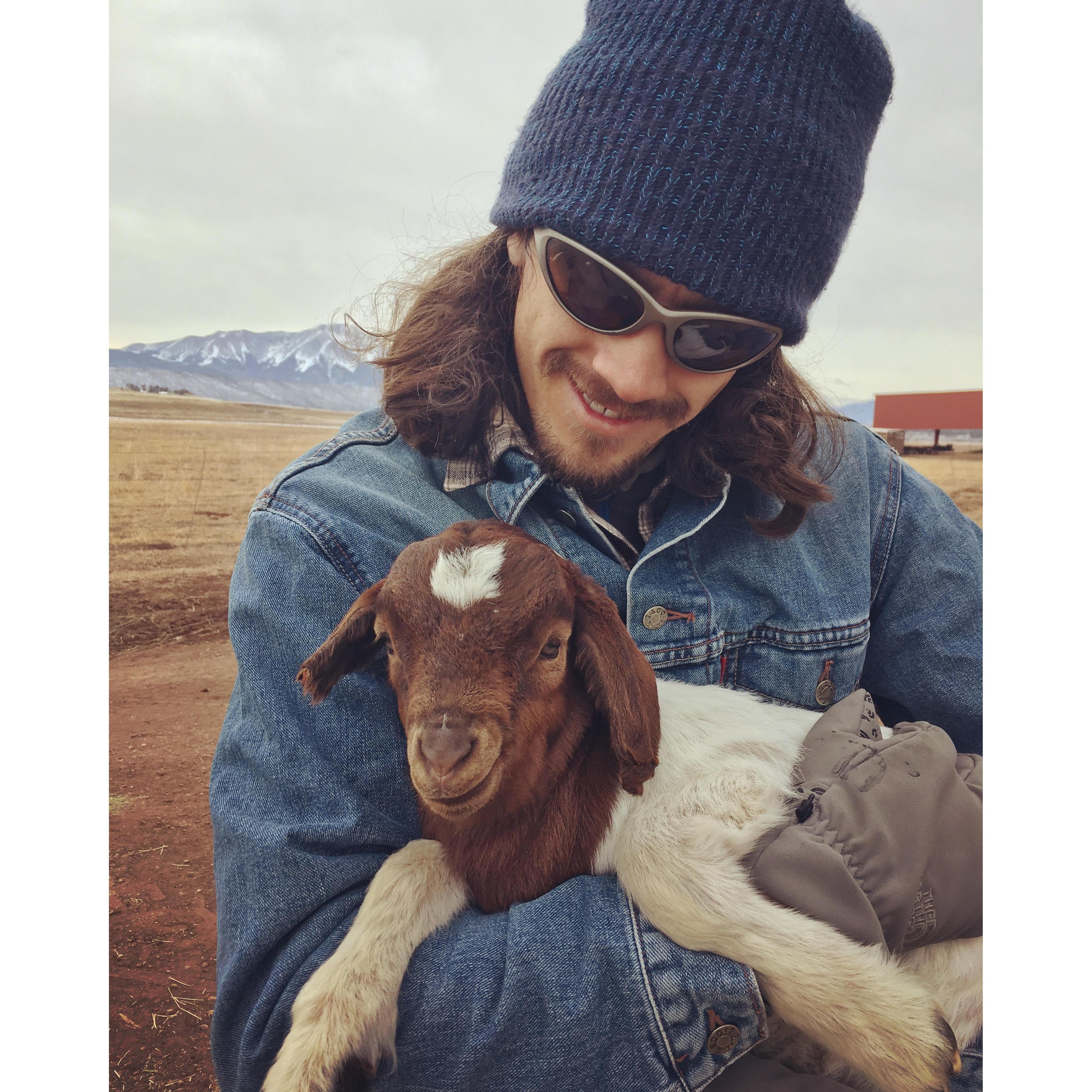 Baby goats at the ranch! Fall 2016