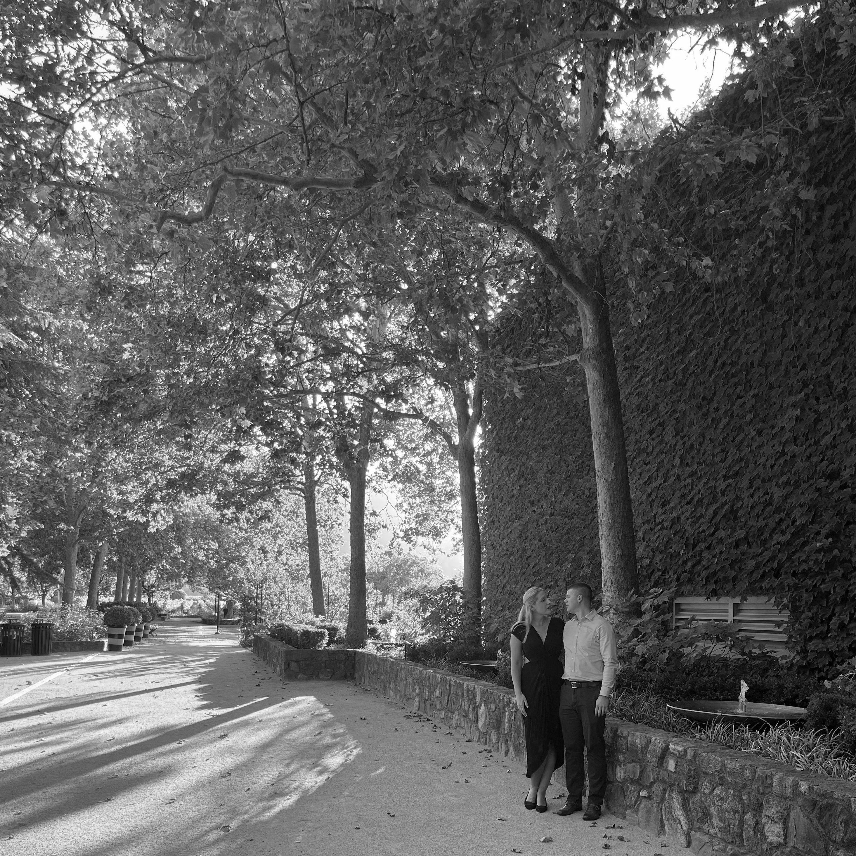 Napa Valley