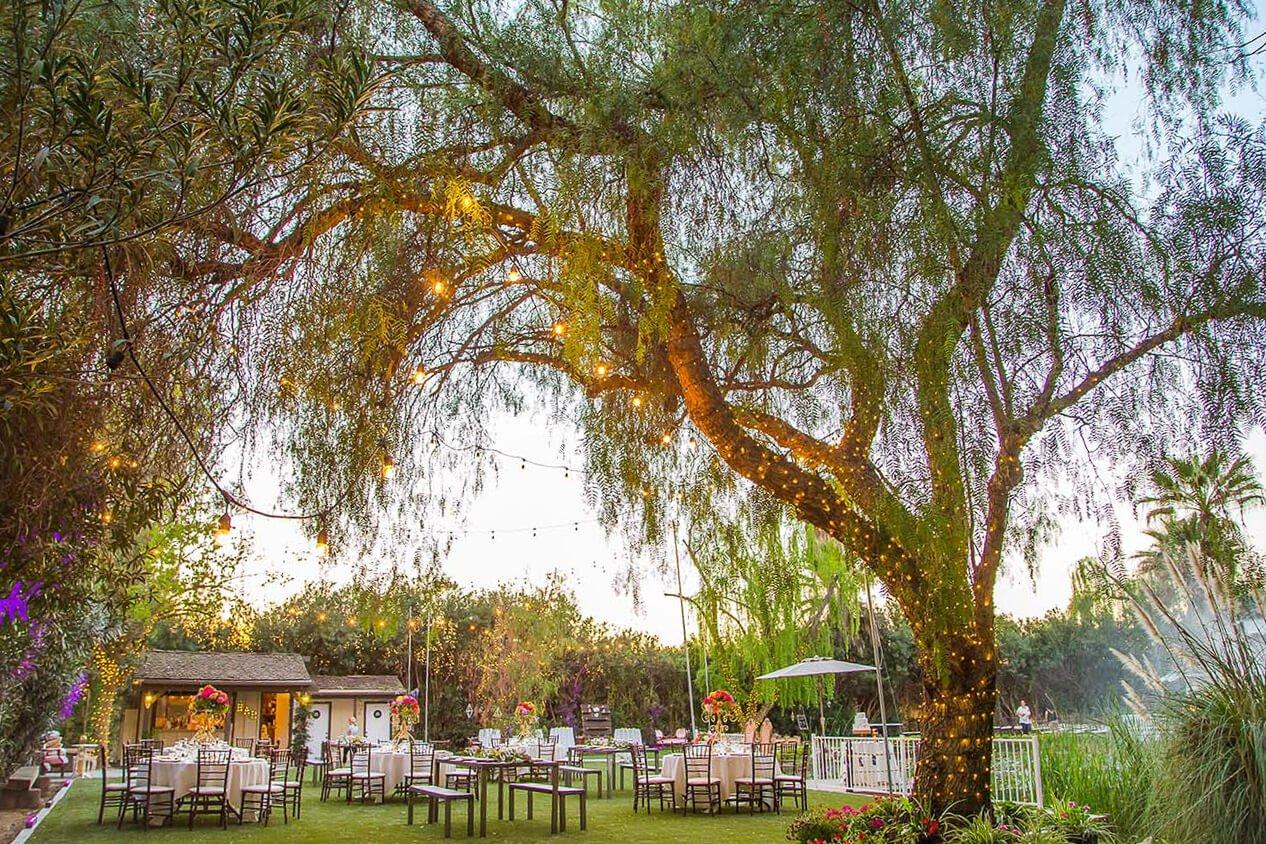 The Wedding Website of Kamaile Elderts and Joseph Ravago