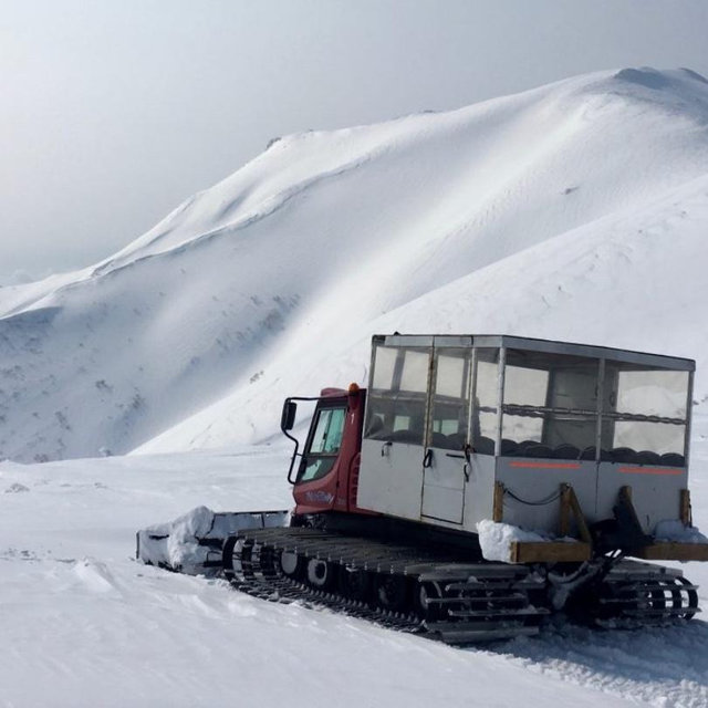 CAT Skiing in Japan