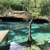 Cenote Swimming