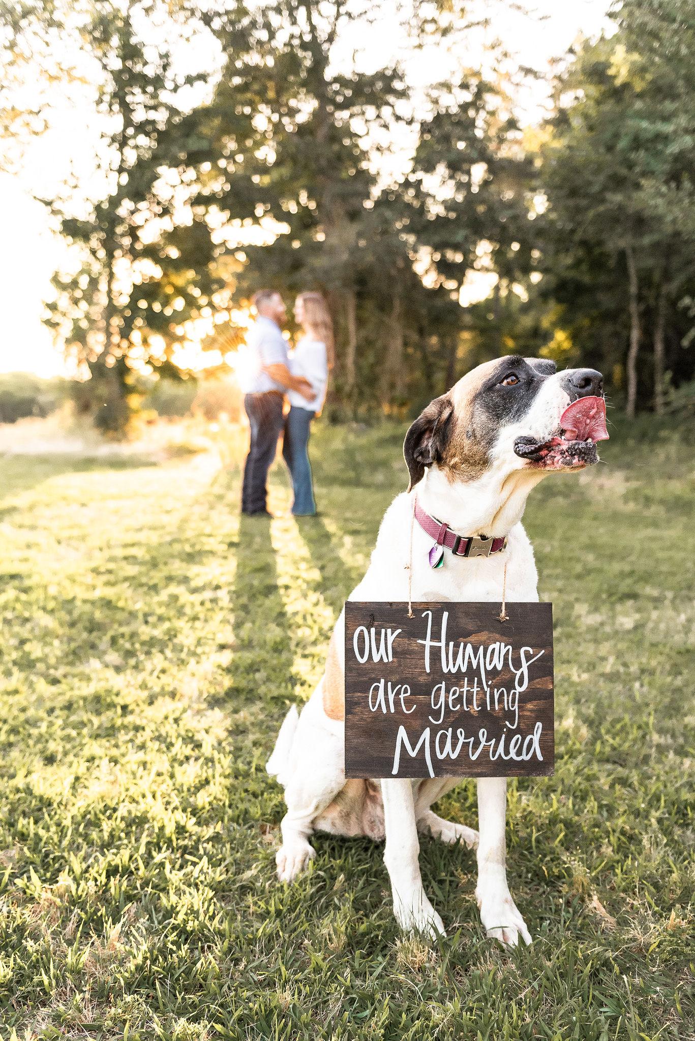 The Wedding Website of Justin Holt and Rachel Kirkpatrick