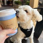 Bonibi Coffee