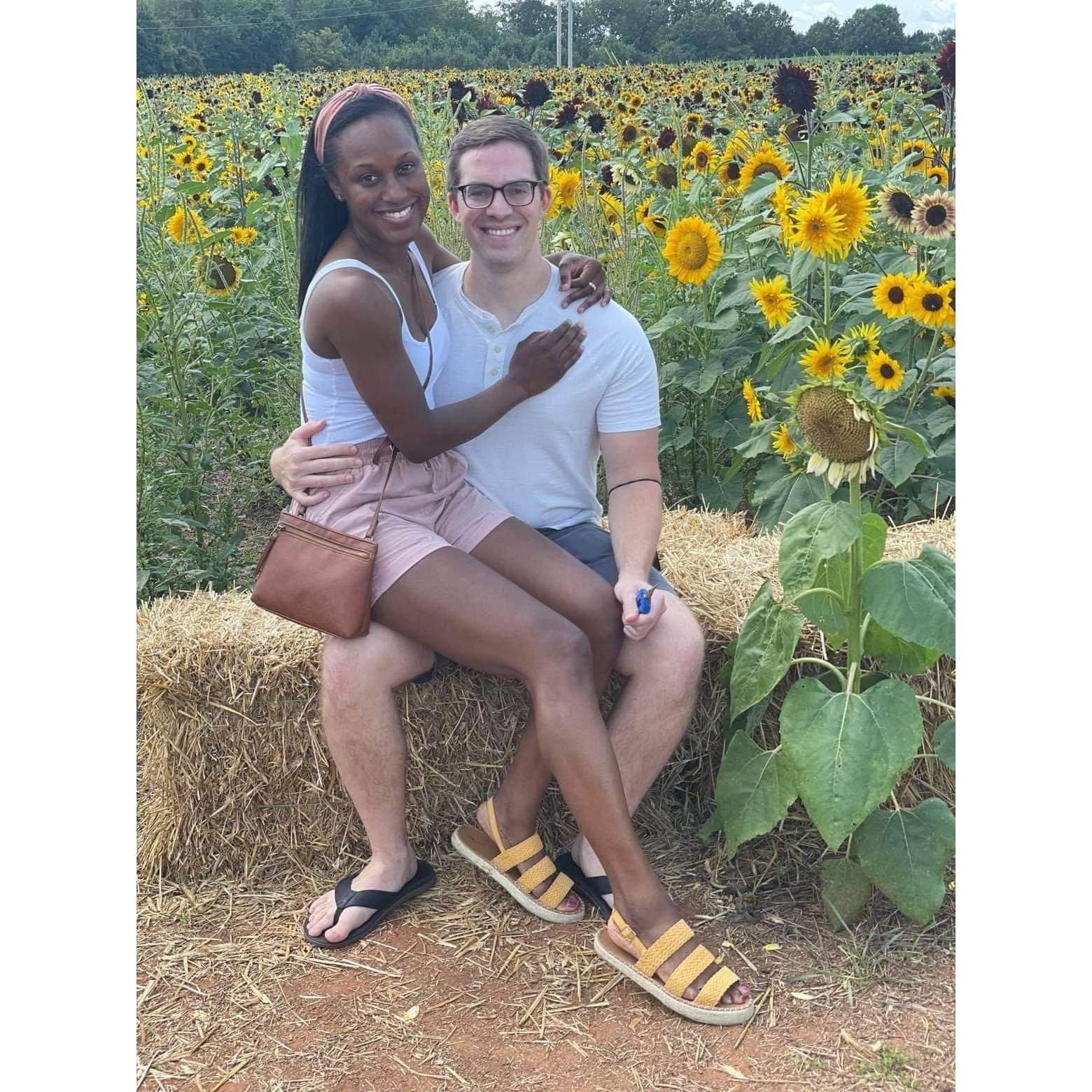 Enjoying a sunflower maze