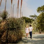 Jardín Etnobotánico de Oaxaca