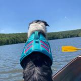Lincoln Lake
