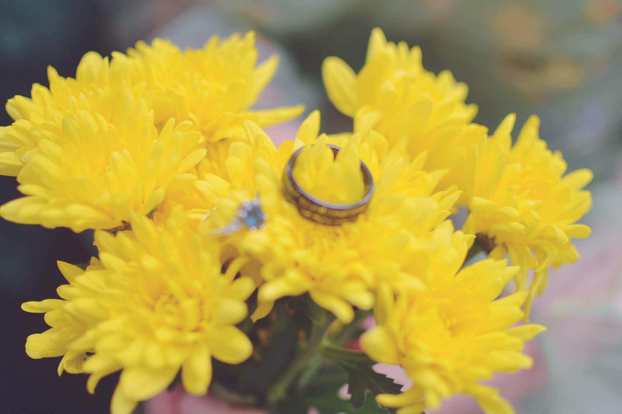 The Wedding Website of Robin Alleman and Snohwimnimah Nmah