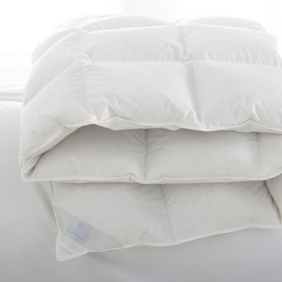 Copenhagen European White Down Comforter