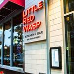 Little Red Wasp