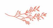 The Wedding Website of Luke Aaron Freeman and Addison Joan Muller