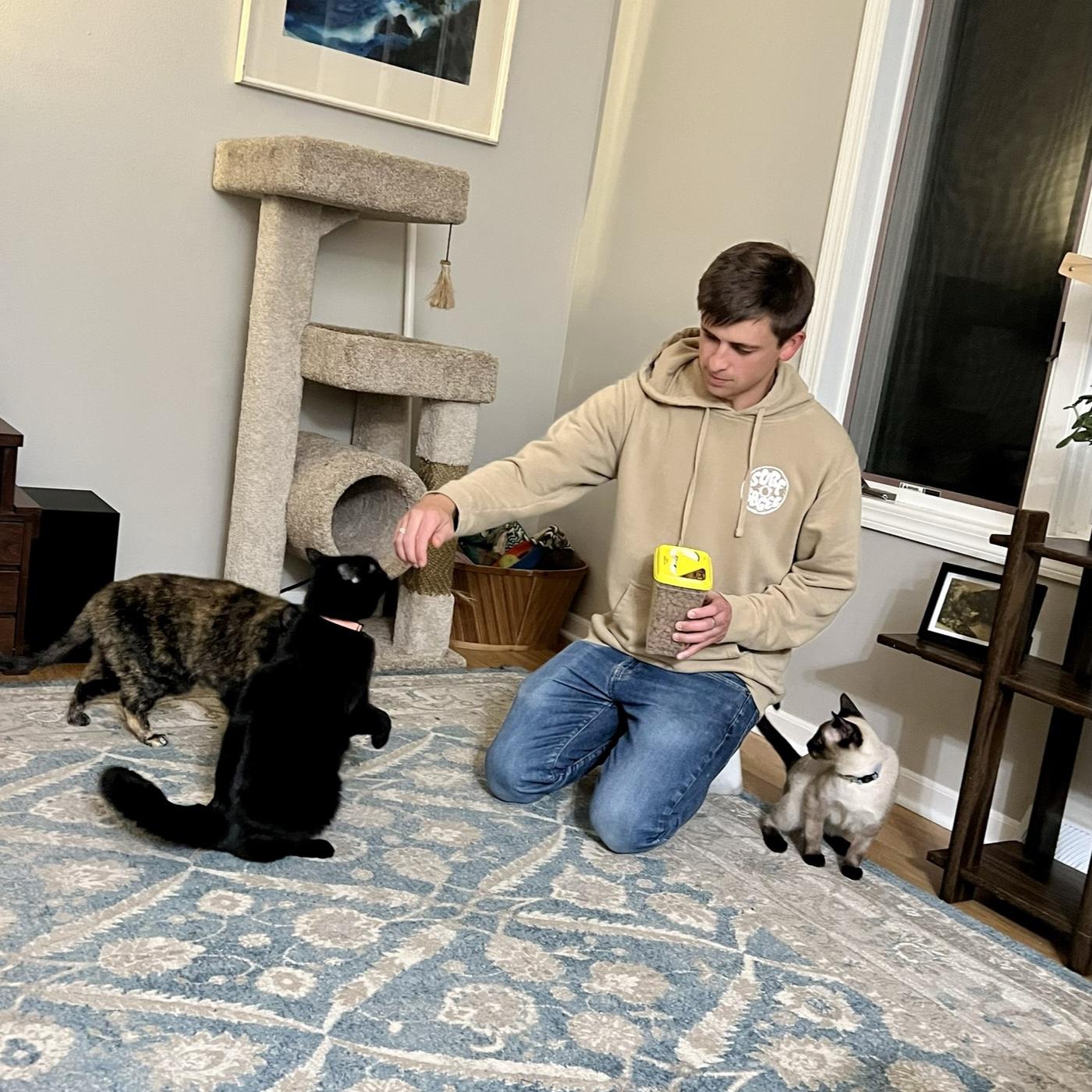 2023 - J starts taking "cat training" very seriously.