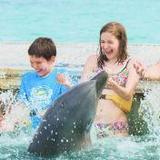 Dolphin Island Park
