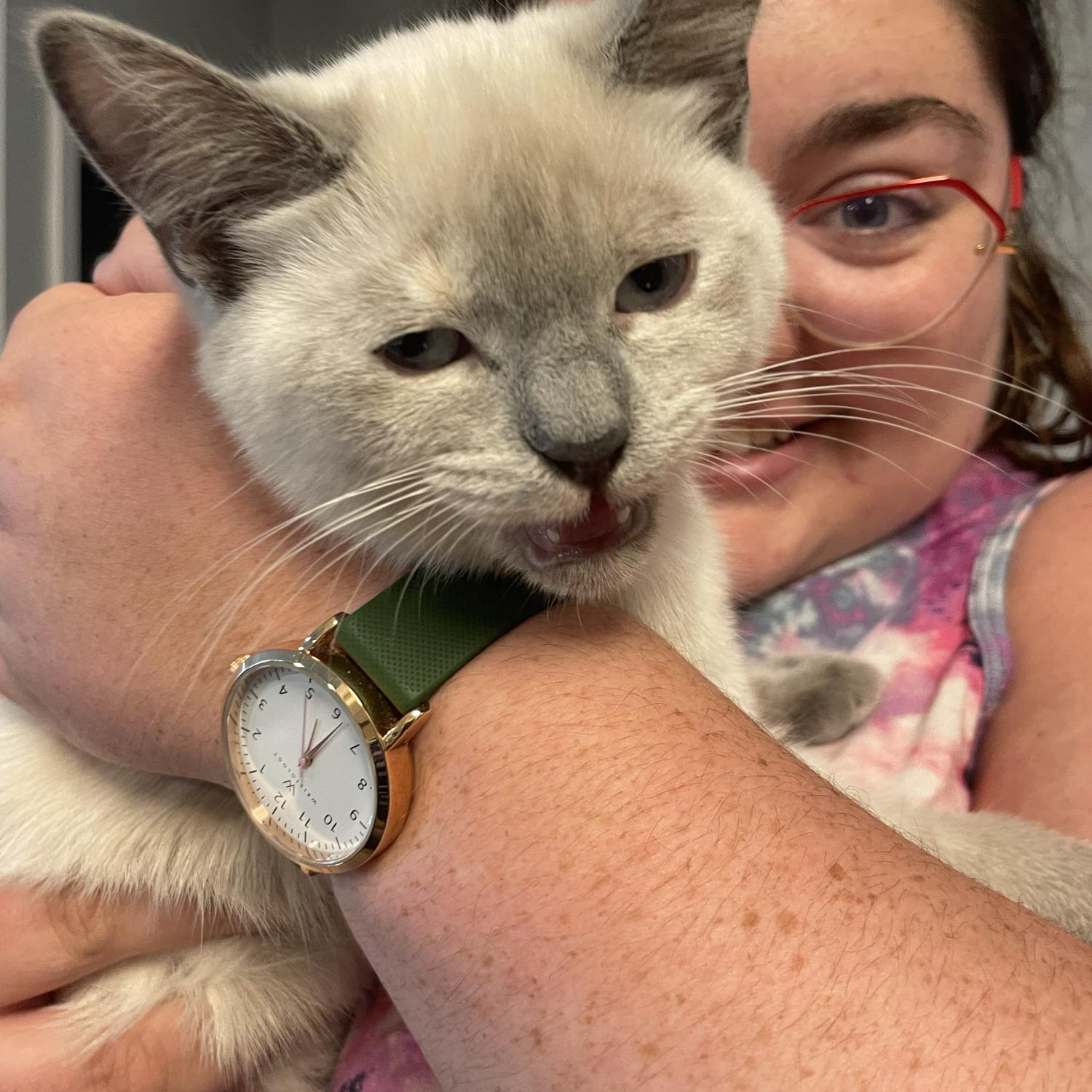 July 2022: Welcome home, Hoagie!