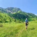 Hiking around Juneau