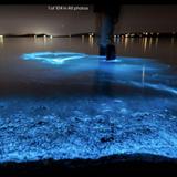 Florida Adventurer: Bioluminescent Kayaking