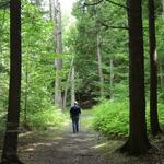 Ganaraska Forest Centre