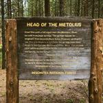 Head of the Metolius