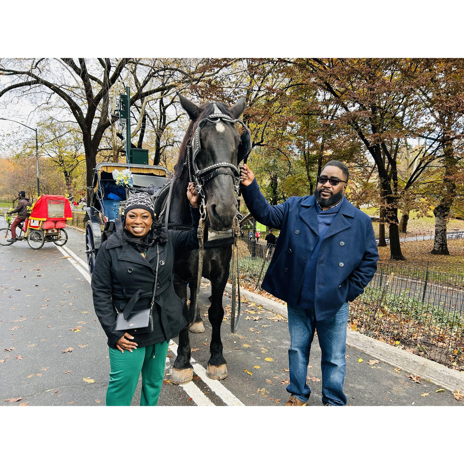 NYC - Carriage Ride through Central Park - Minutes before the surprise proposal - November 22, 2023