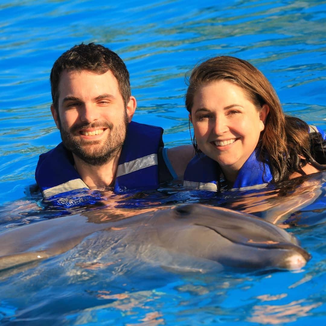 San Jose del Cabo dolphins