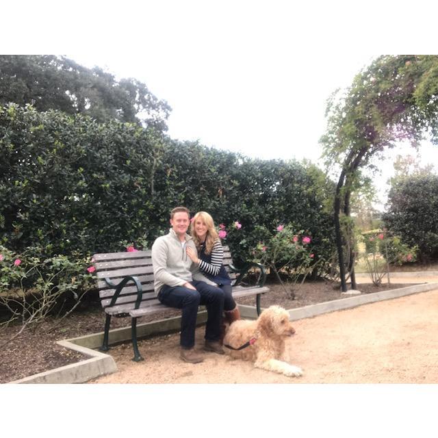 Our rose garden engagement