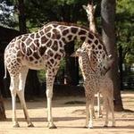 Milwaukee County Zoo