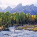 Flyfishing