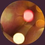 Groceries at Fred Meyer