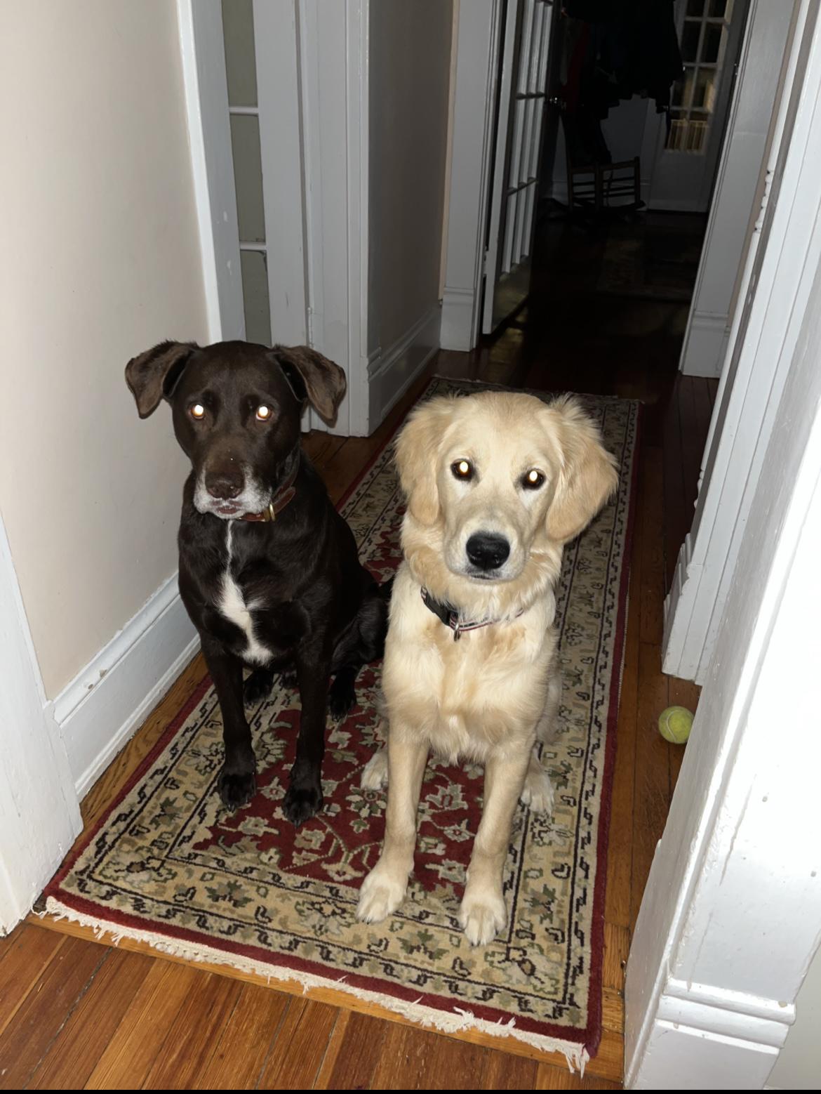 Rocco and Weezie