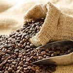 Sure House Coffee Roasting Co.