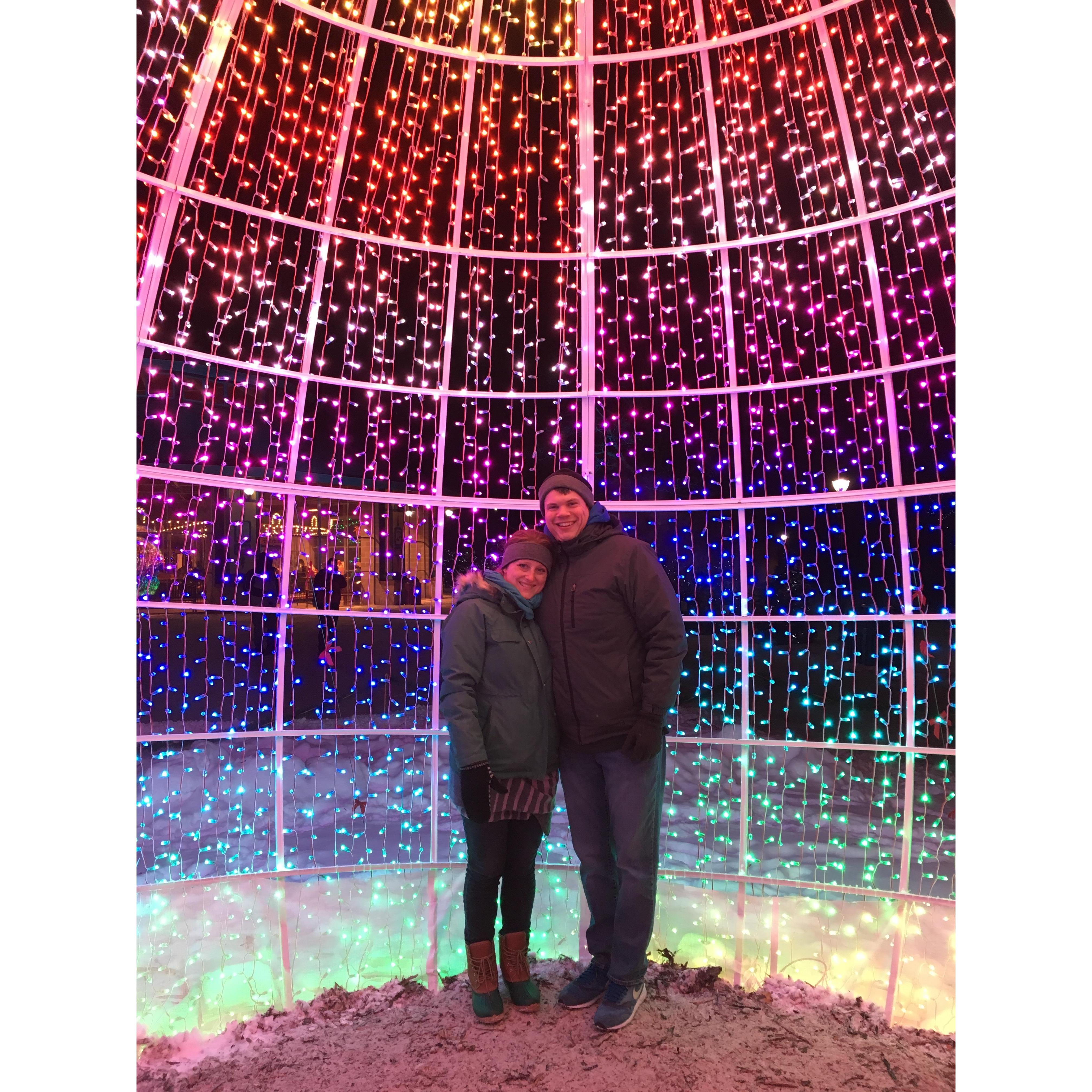 Brookfield Zoo Lights