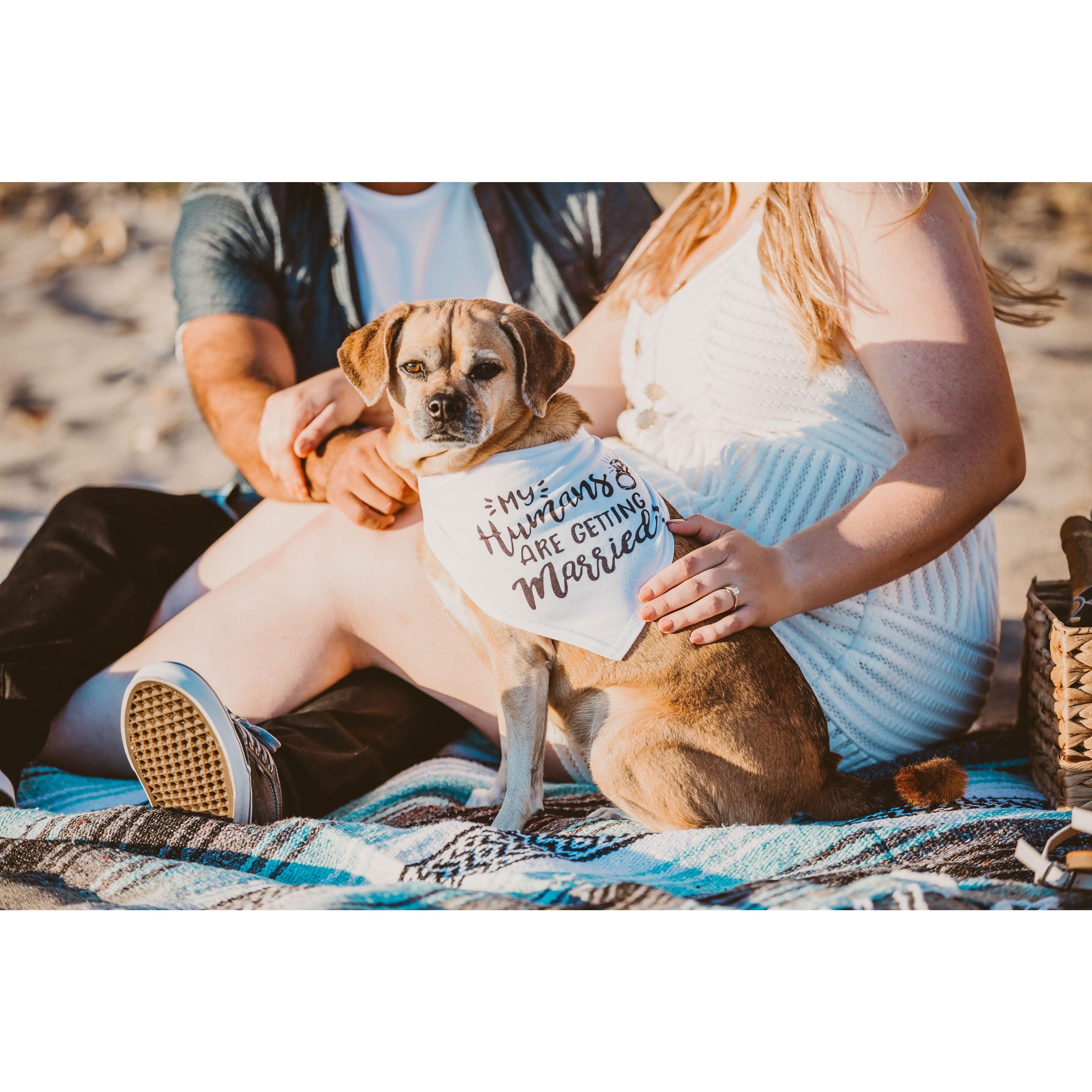 Here is Bailey! She can't wait for Madi and Javi's wedding.