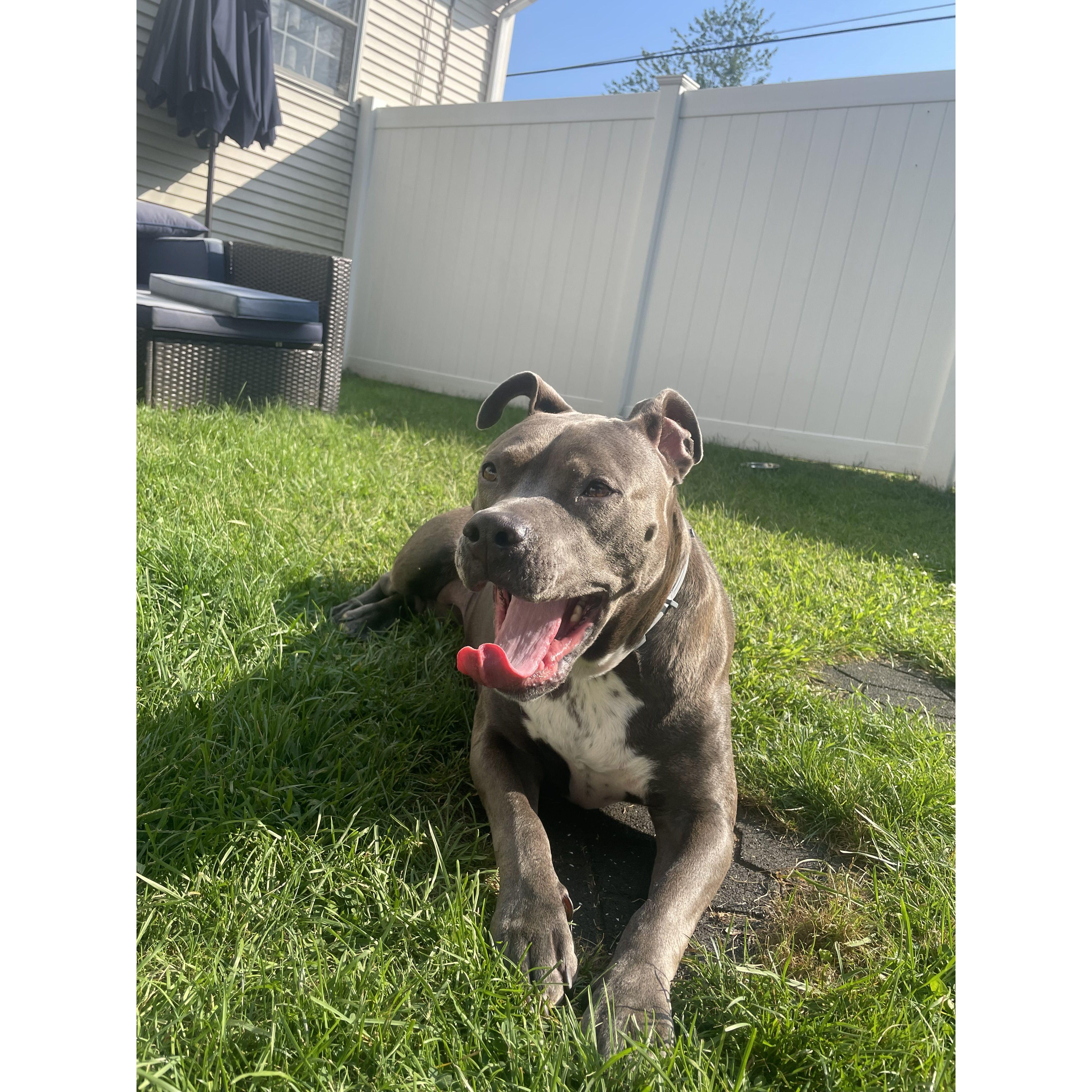 Can I sleep in the backyard forever mom?