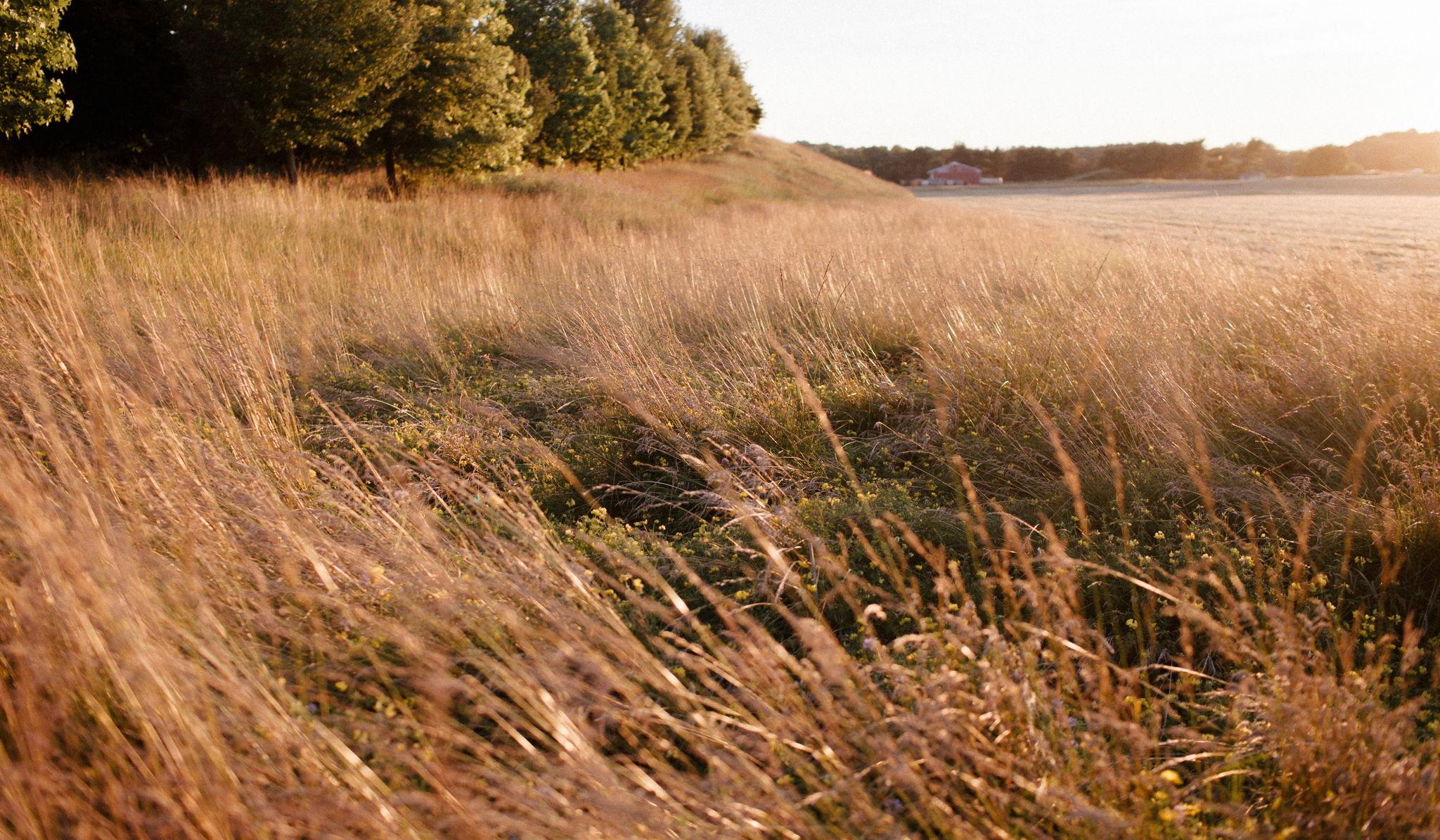 Hero Slideshow Image 1