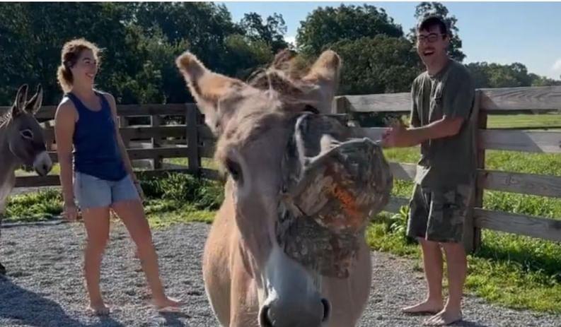 The Wedding Website of Emily Brooks and Sean Mohler