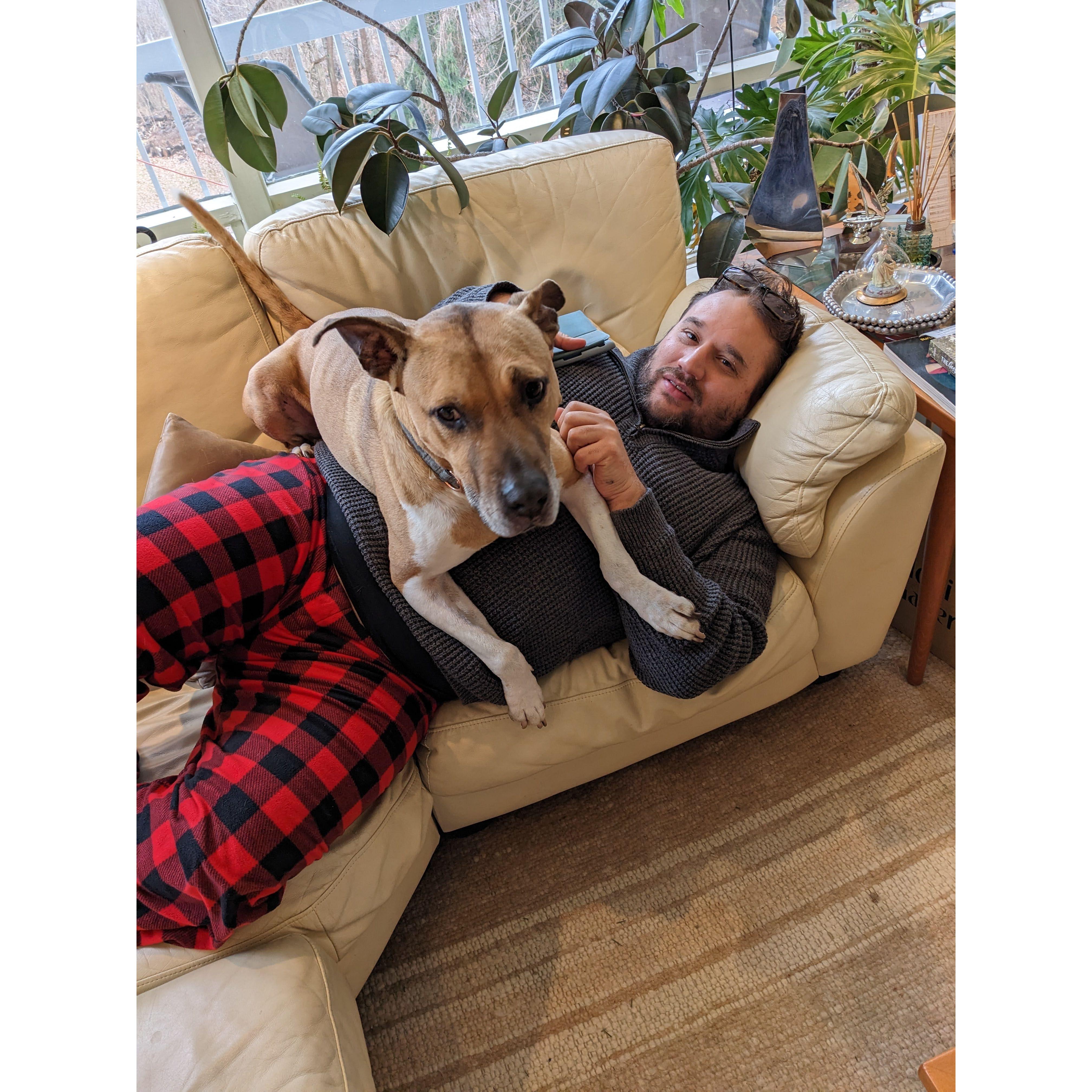 Berkley cuddles at Christmas '
22!