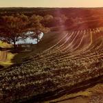 Dahlonega Wine Country