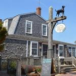 The Black Dog Tavern