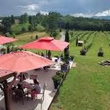 Overmountain Vineyards (~25 mins)